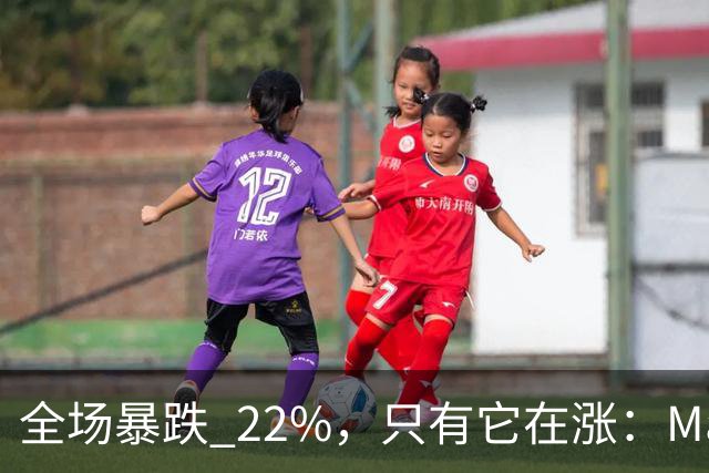 全场暴跌 22%，只有它在涨：Mate 80 的 900 万台是谁买的？