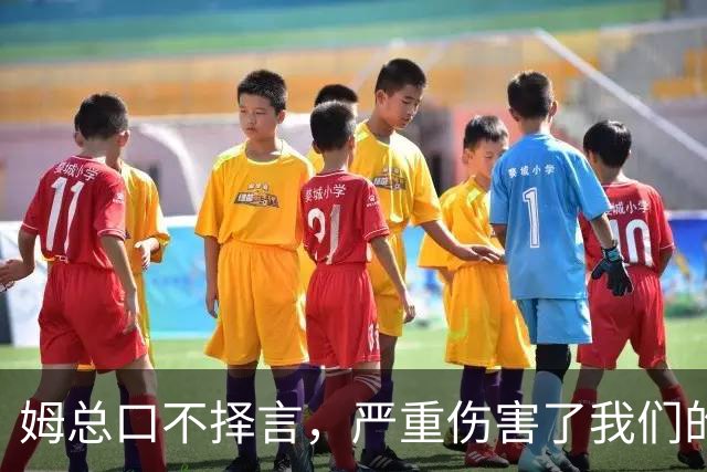 姆总口不择言，严重伤害了我们的民族感情！俄国该知道怎么办了吧