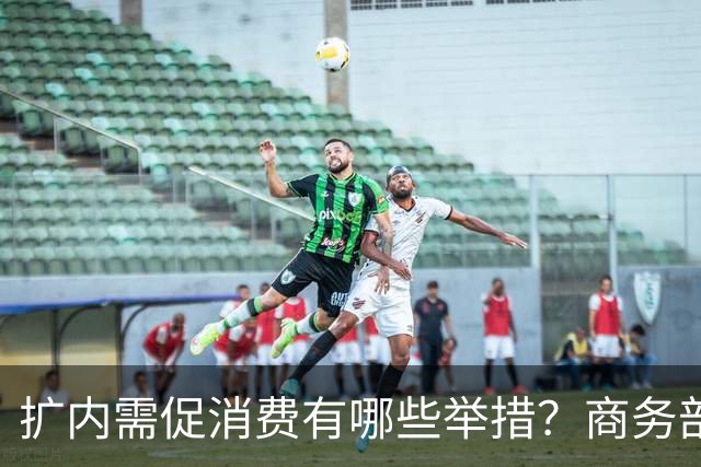 扩内需促消费有哪些举措？商务部：推动商品消费扩容升级、持续扩大服务消费、梯次释放不同区域消费潜力