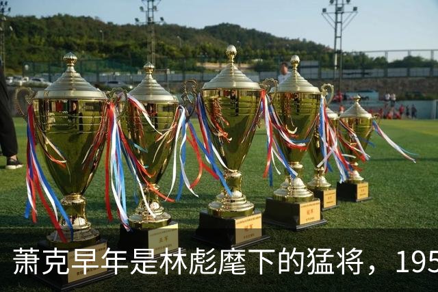 萧克早年是林彪麾下的猛将，1955年因嫌上将军衔评得偏低而公开表达不满，彭德怀当即表示重新研究，次年他便获得了全军唯一一次特殊追认
