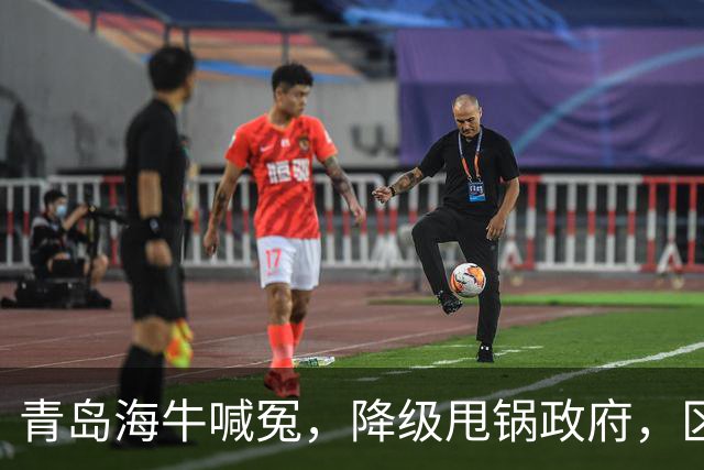 青岛海牛喊冤，降级甩锅政府，区政府承诺4000万未到账，“婆媳关系”掰扯不清