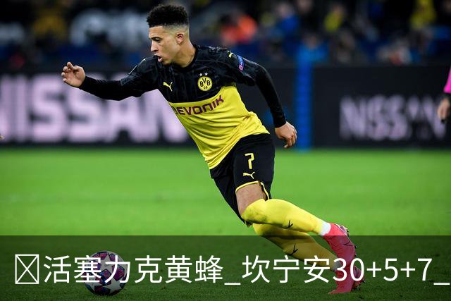 🏀活塞力克黄蜂 坎宁安30+5+7 詹金斯14分 米勒31+12